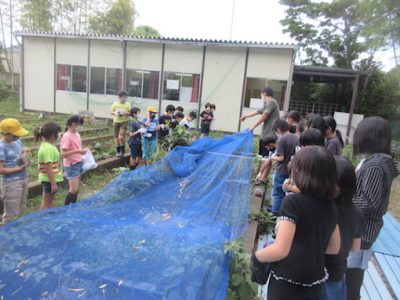 ５年生　田起こし