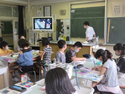 ５年生　理科　花のつくり