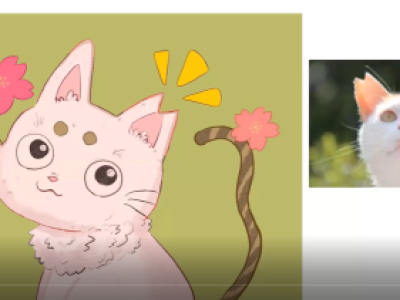 TNR　さくら猫「いのちの授業」２　飼育委員会（動画掲載）　