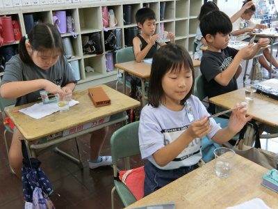 ３年生サマースクール　カイコの繭から糸とり