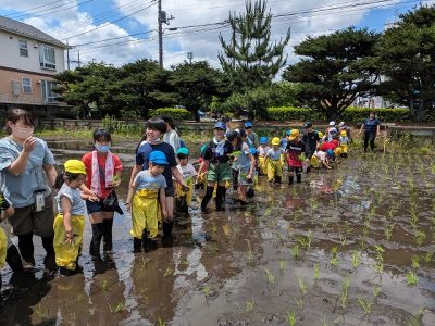 2024度　田んぼカレンダー　６月