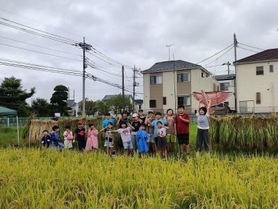 ９月２２日　エコクラブ　稲刈り１回目（日）