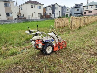 稲刈り秘密兵器登場　稲刈り機（バインダー）