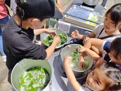 ヨモギもちづくり　　５月１１日（日）エコクラブ