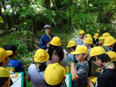 「ふるさとの森」見学　6年生　安行の自然と歴史（4月２４日）