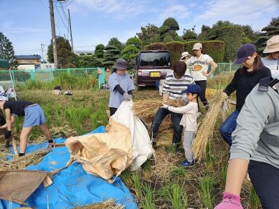 田んぼでの脱穀、籾摺り、精米に挑戦！　１０月２７日（日）エコクラブ