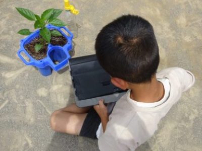 ２年生　生活科　おいしい野菜を育てたたい