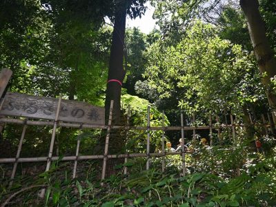 5月8日（木）6年生　校外学習