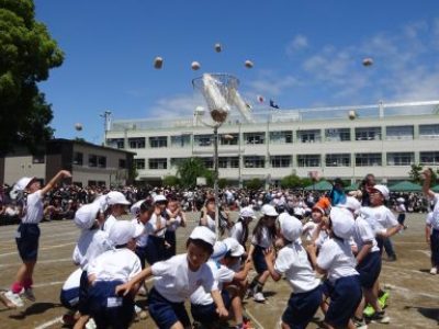 【速報】運動会　１年生　チェッコリ玉入れ