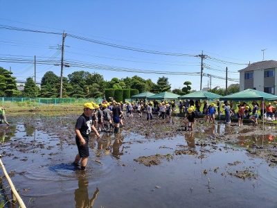 ５年生　総合「田んぼの代かきと生き物調査」６月５日（木）