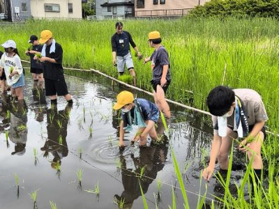 なかよし学級　田植え　６月１８日（金）