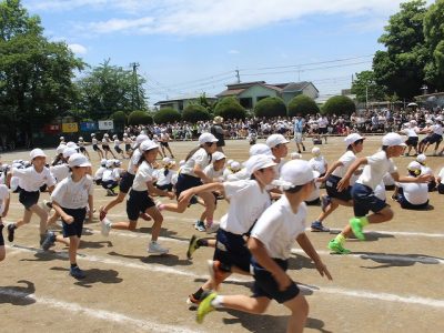【速報】運動会　５年生　全力全開　綱ヒッキー！　～助け（愛）合いが止まらない～