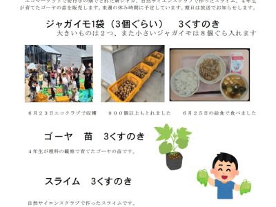エコマーケットのお知らせ