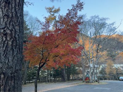 秋の日光、ホテル前の景色