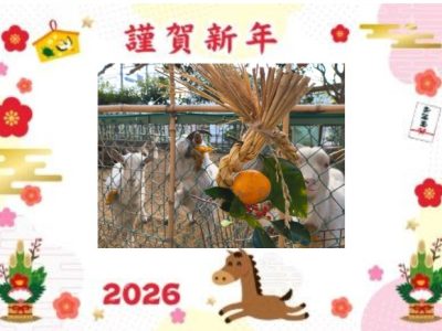 謹賀新年